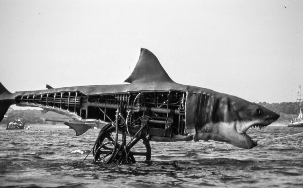 The Shark Model from Jaws